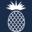 100daisyfarmsdrive.com favicon